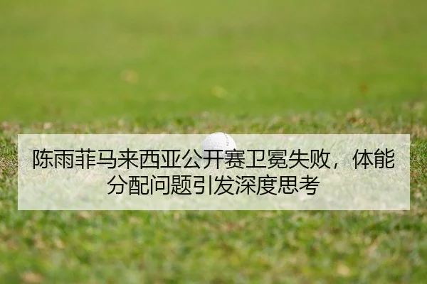 chen-yu-fei-ma-lai-xi-ya-gong-kai-sai-wei-mian-shi-bai-ti-neng-fen-pei-wen-ti-yin-fa-shen-du-si-kao-2-403.jpg
