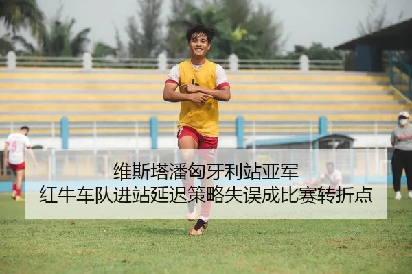 维斯塔潘匈牙利站亚军 红牛车队进站延迟策略失误成比赛转折点